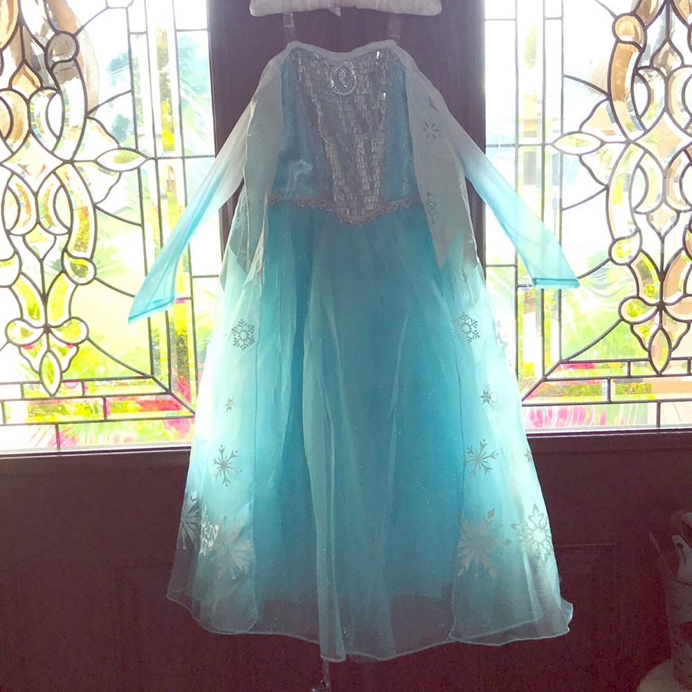 Disney Frozen Elsa costume dress size 5/6
